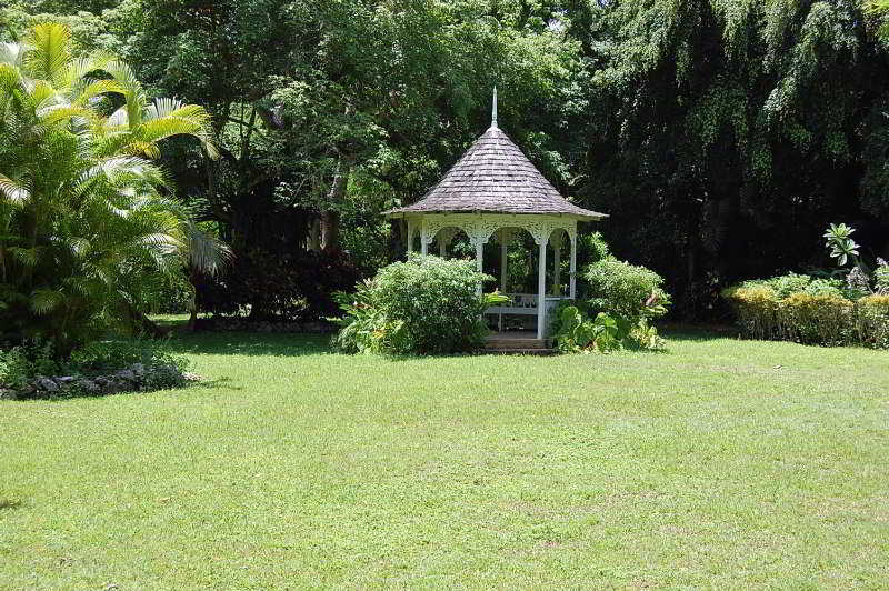 Inn At Shaw Park Gardens & Waterfalls Ocho Rios Esterno foto