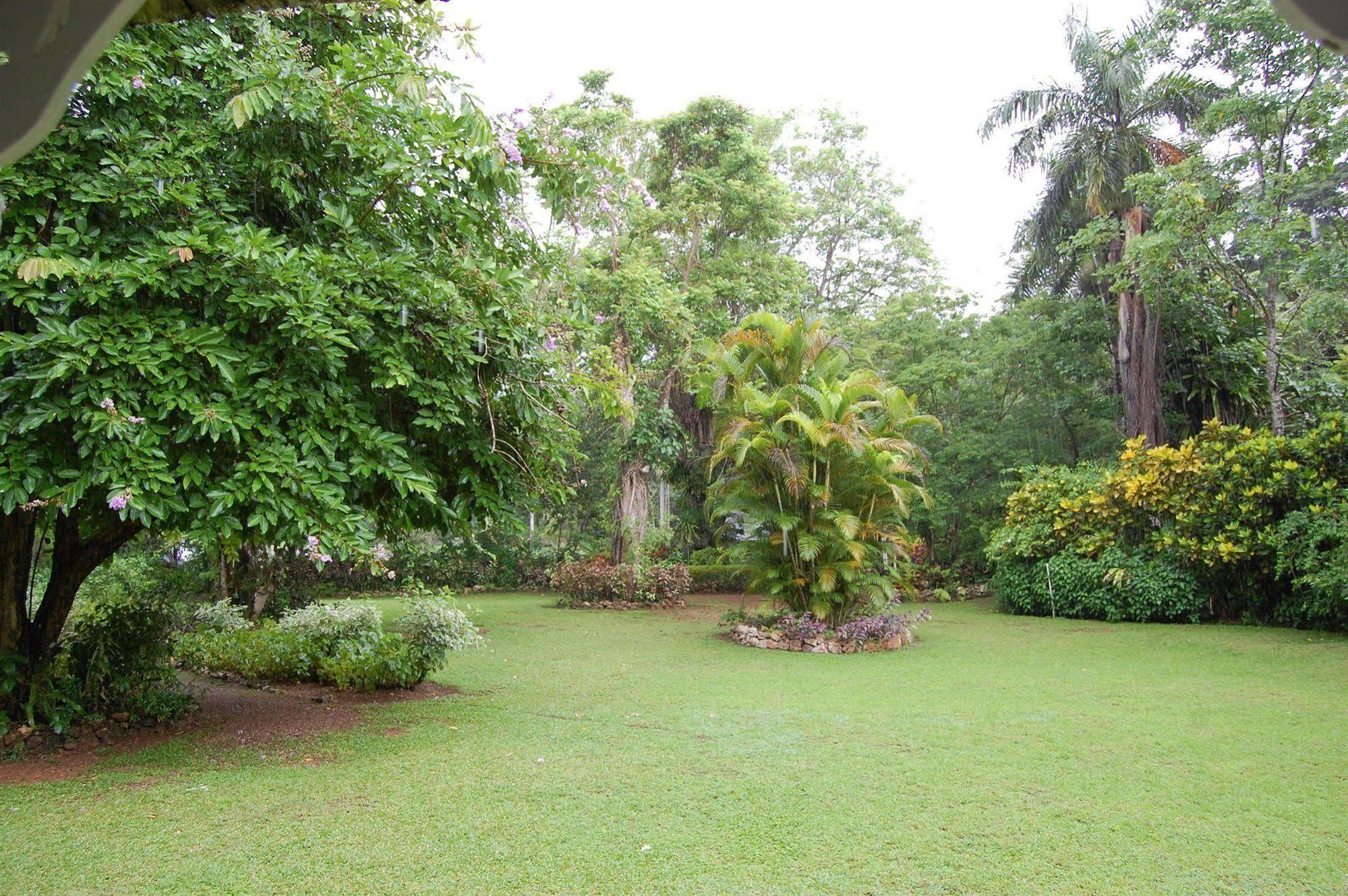 Inn At Shaw Park Gardens & Waterfalls Ocho Rios Esterno foto