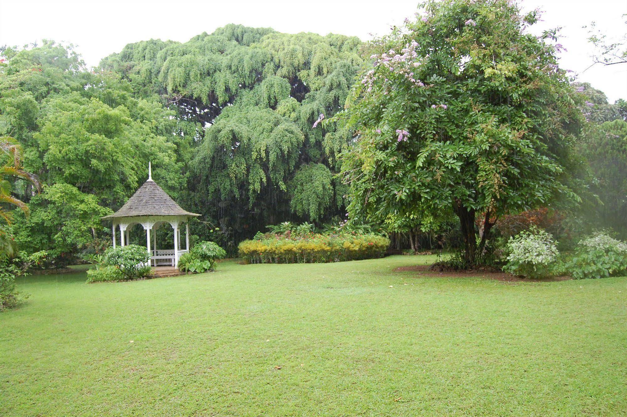 Inn At Shaw Park Gardens & Waterfalls Ocho Rios Esterno foto