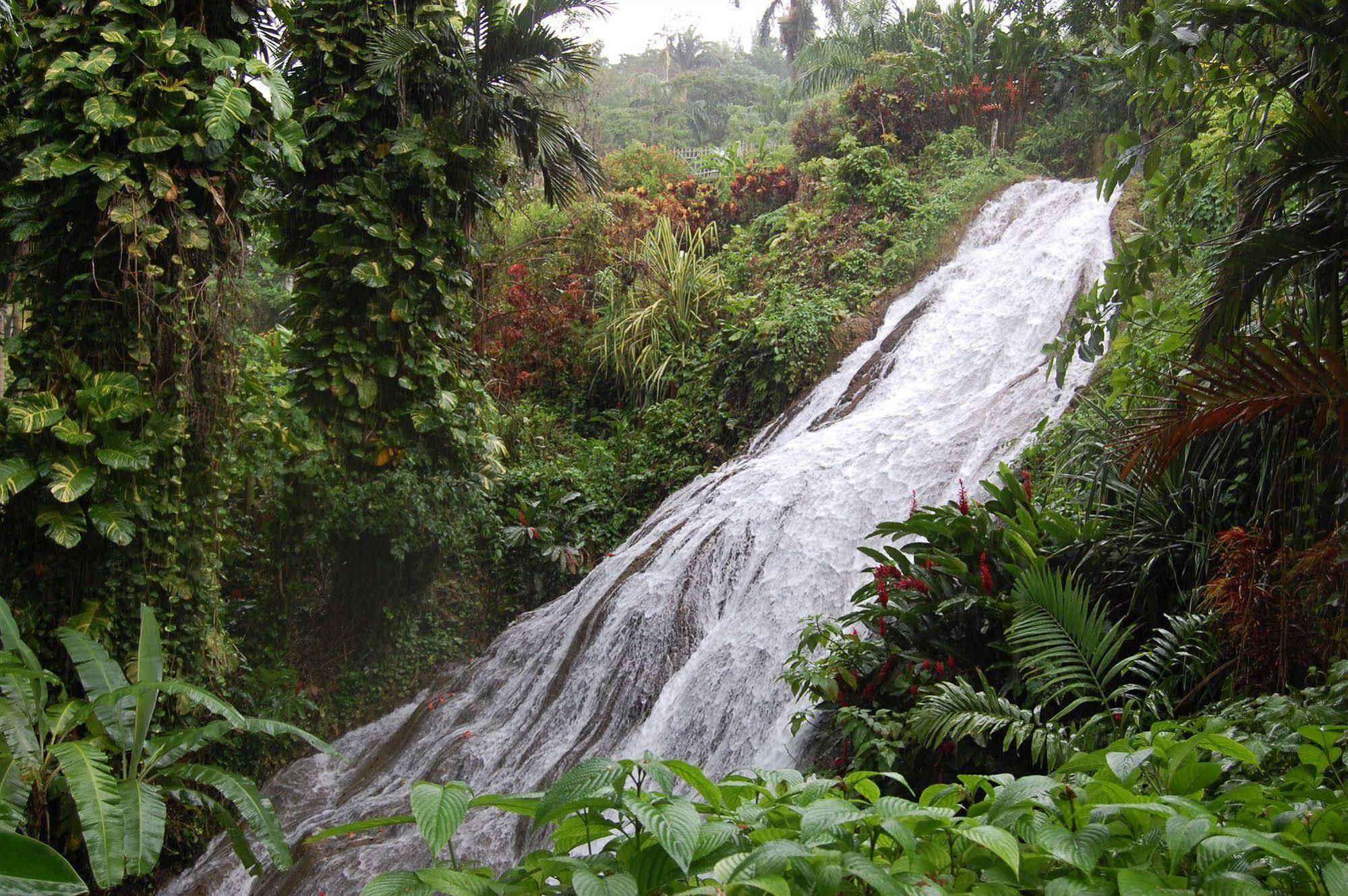 Inn At Shaw Park Gardens & Waterfalls Ocho Rios Esterno foto