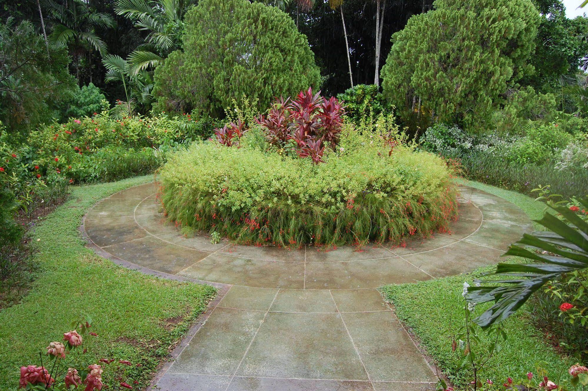Inn At Shaw Park Gardens & Waterfalls Ocho Rios Esterno foto